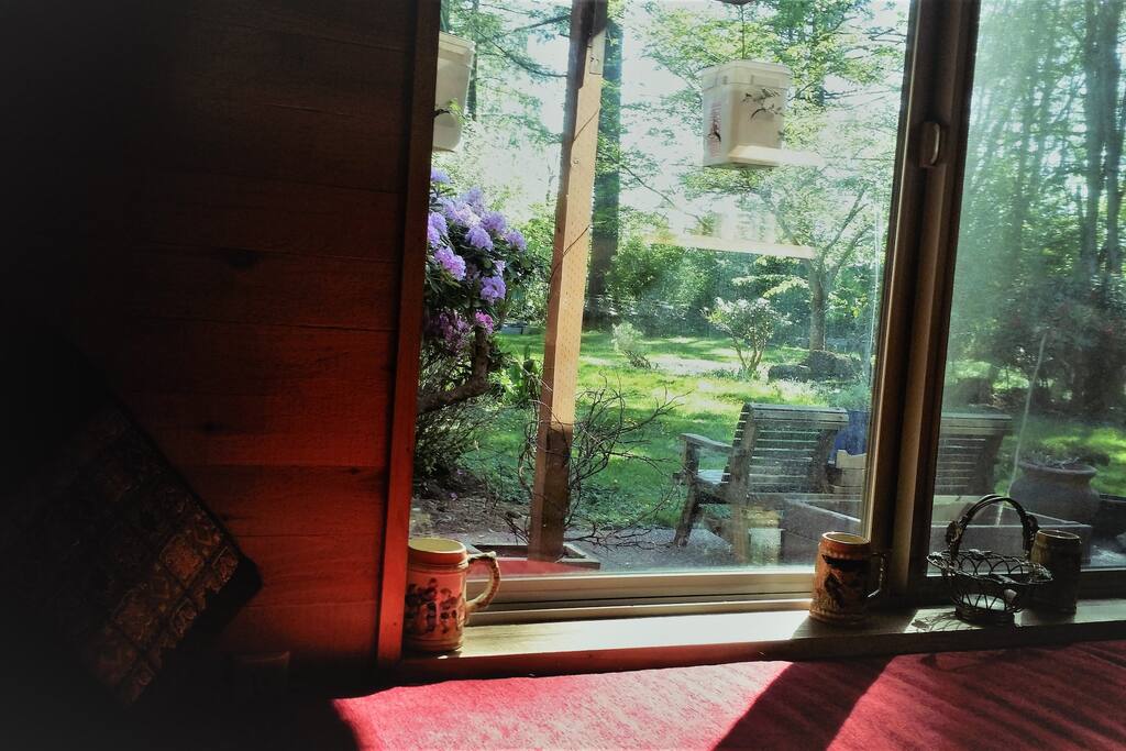 View of back garden from library/apothecary nook