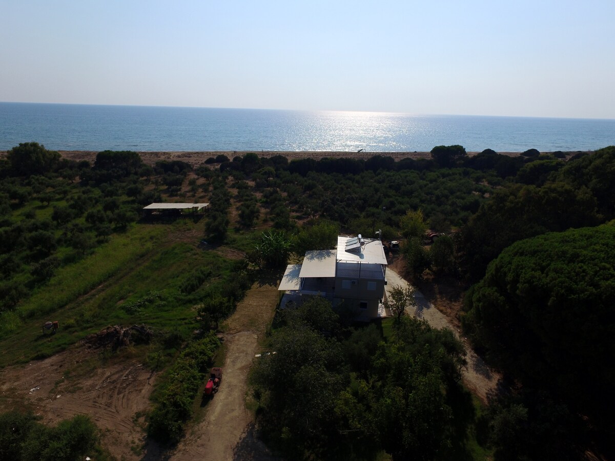 The image captures a modern, renovated house set in a serene landscape, with a view of the clear sandy beach and the Ionian Sea in the distance. Lush green spaces surround the property, offering a sense of tranquility in nature.