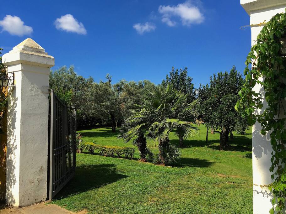 Il giardino condiviso