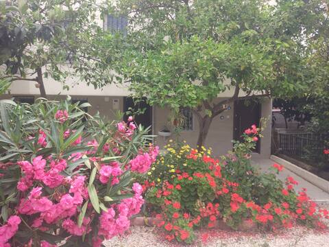 Cosy Villa Near Ladies Beach (For Families)