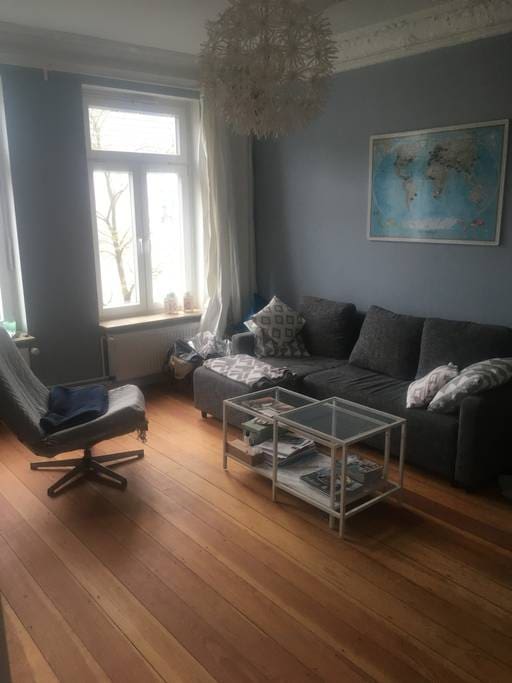 Living room with comfy pull-out couch