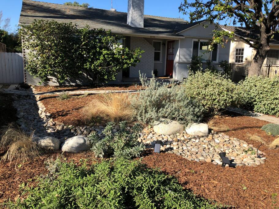 Front Yard w Cal Natives