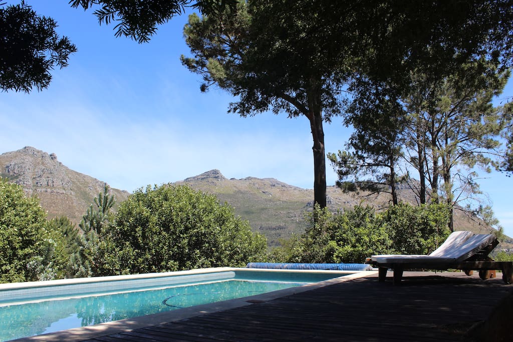 pool view with loungers