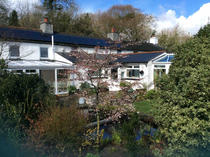 Double room + Breakfast, Tavistock, Devon, WiFi Cottages for Rent in