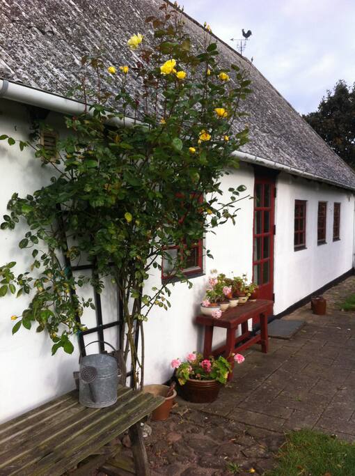 Huset mod terrassen/haven