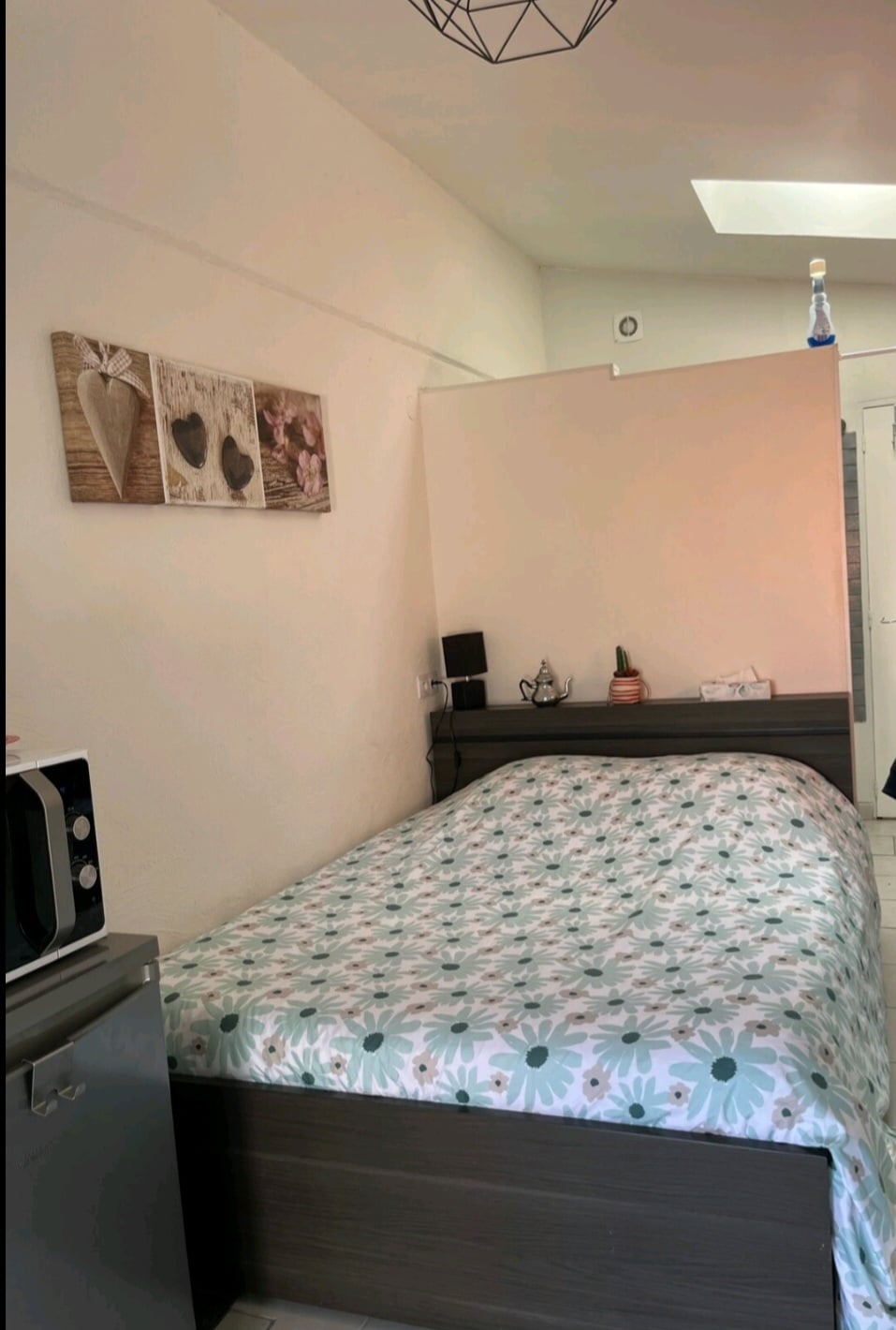 A cozy sleeping area features a double bed with a floral patterned coverlet and a bedside table. A microwave is located nearby, and wall decor with heart designs adds a personal touch. Natural light enters through a skylight, enhancing the calmness of the space.