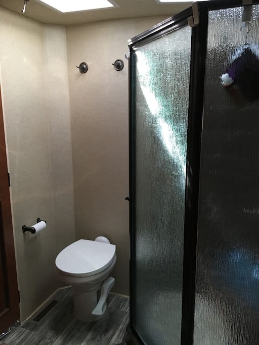 Toilet and shower