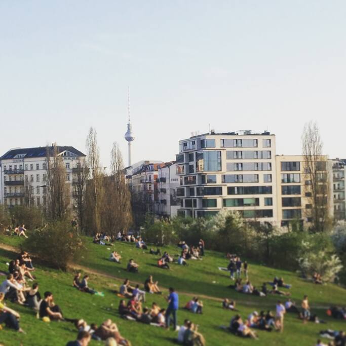Mauerpark (located within walking distance)