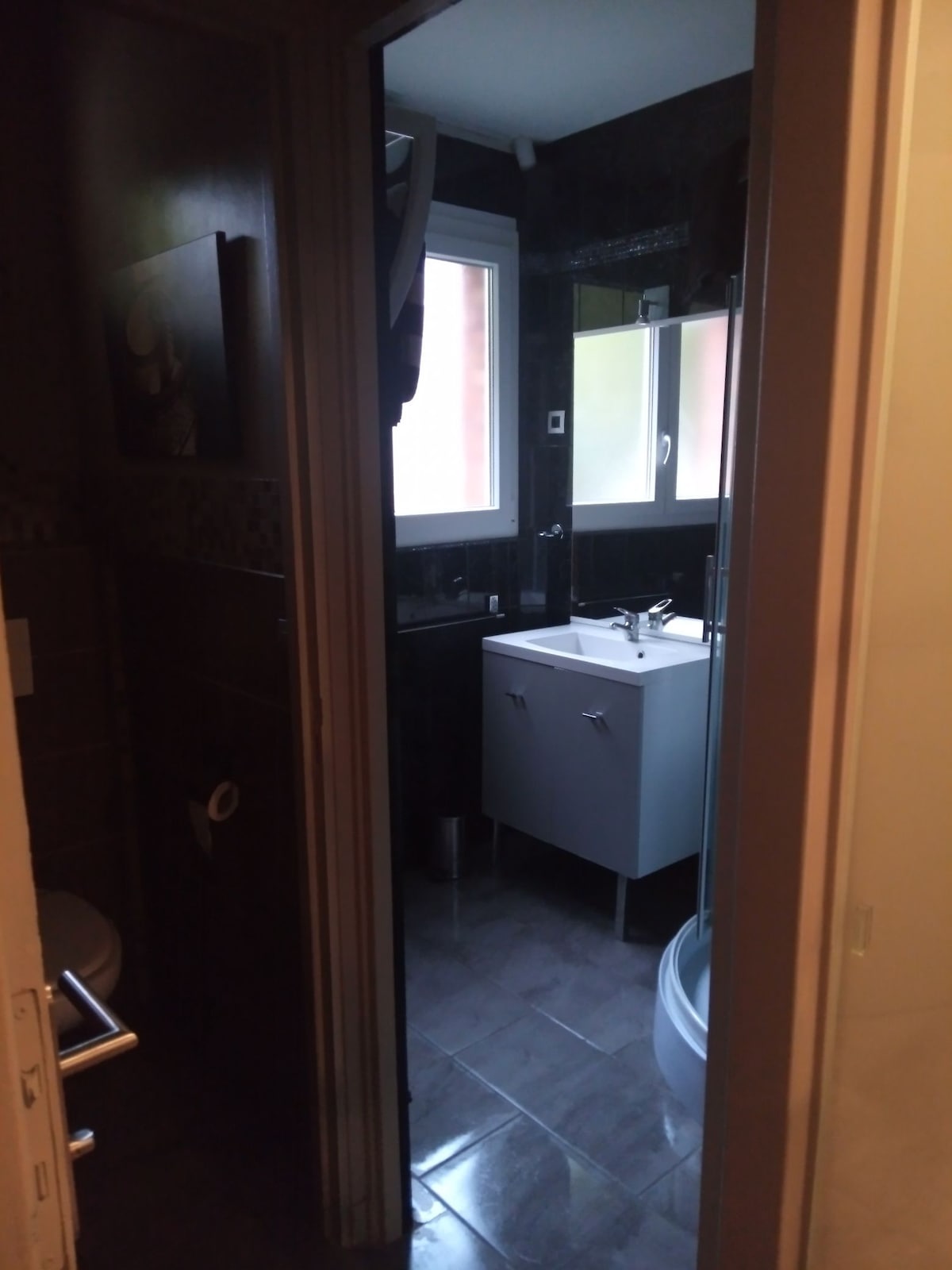 A compact bathroom is accessed through a door, featuring a modern sink with storage below. A shower area is visible, enclosed by glass. Natural light filters in through a window, highlighting the dark tile walls and floor.