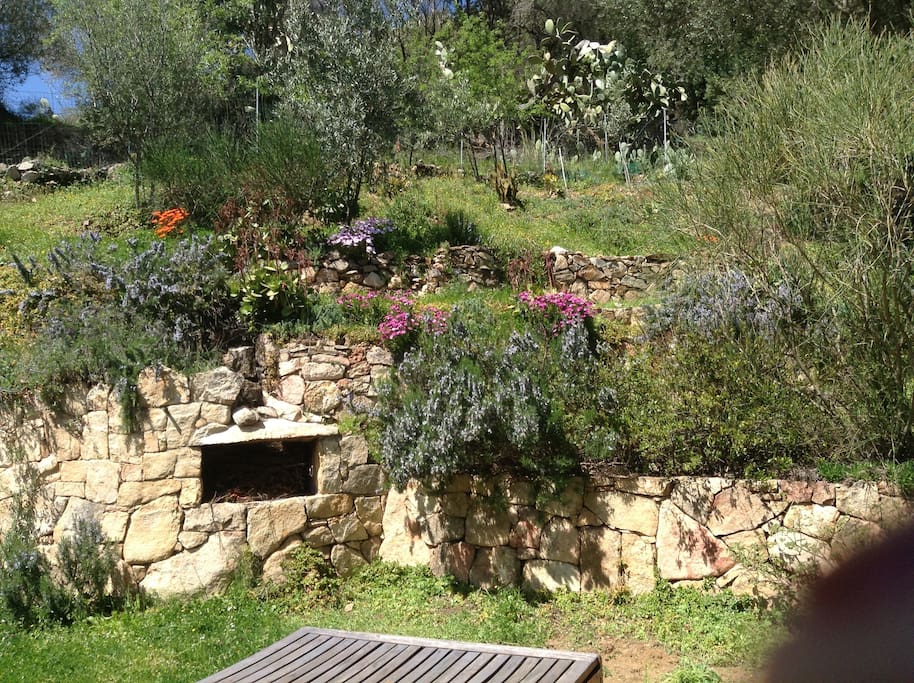 Giardino barbecue