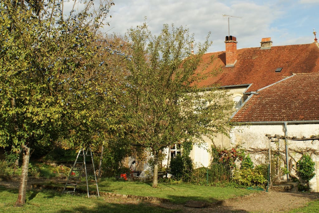 Ommuurde boventuin met fruitbomen