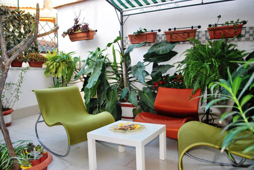 Terrace