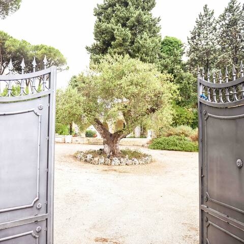 Villa Luciana nel cuore della Valle d’Itria gallery image 4