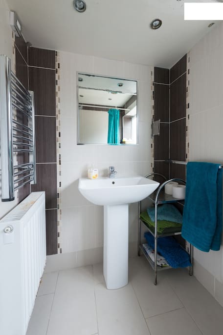 Bathroom (upstairs)