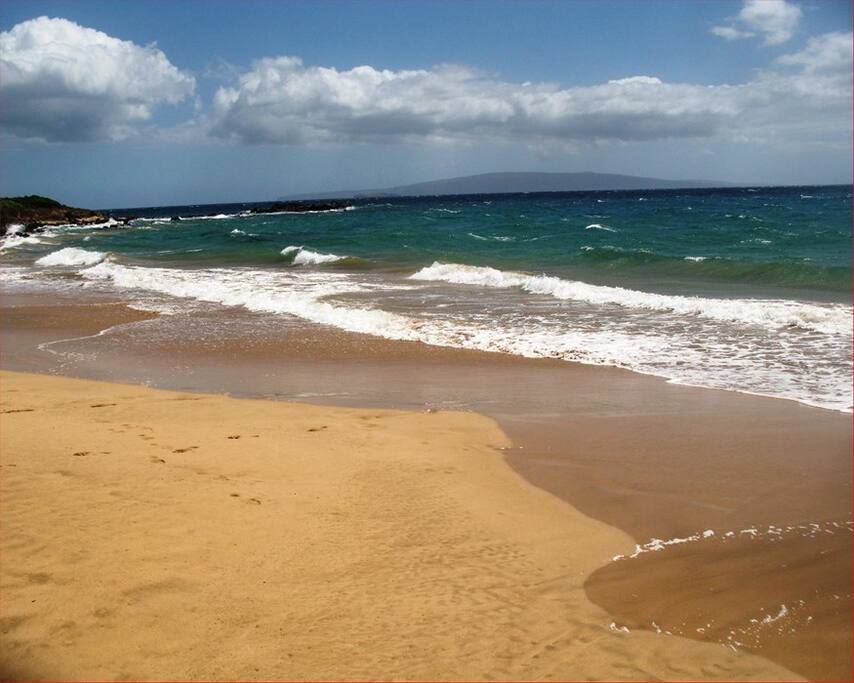Only minutes walk from your door to the beach across the street.