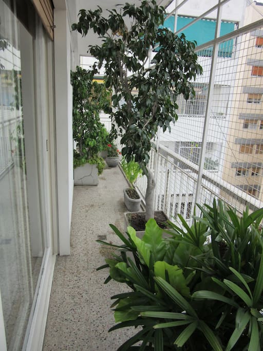 El balcón / Balcony
