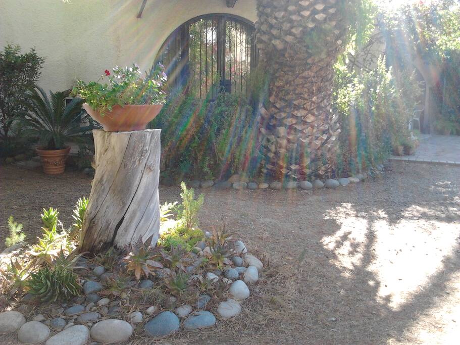Giardino