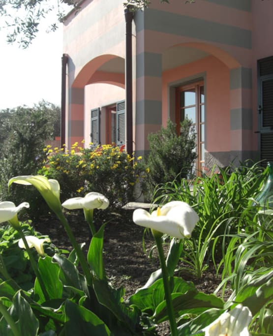 Il giardino