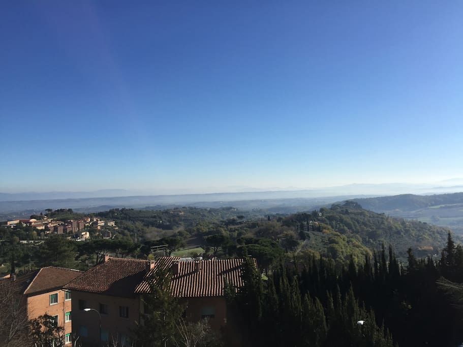 Panorama