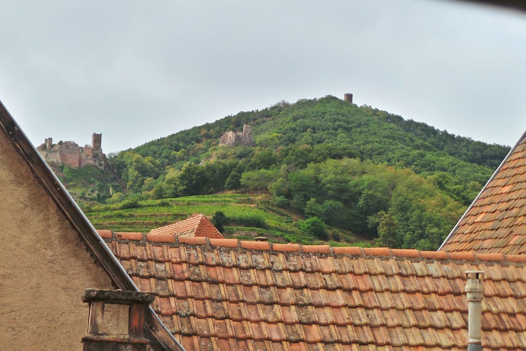 View on old roofs, mountains, castles