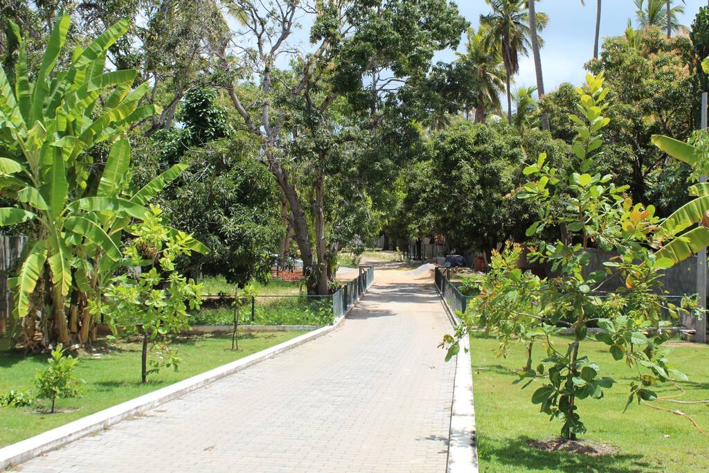 Alameda de acesso à casa