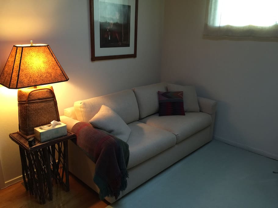 Sofa Bed bedroom/bath with closet.