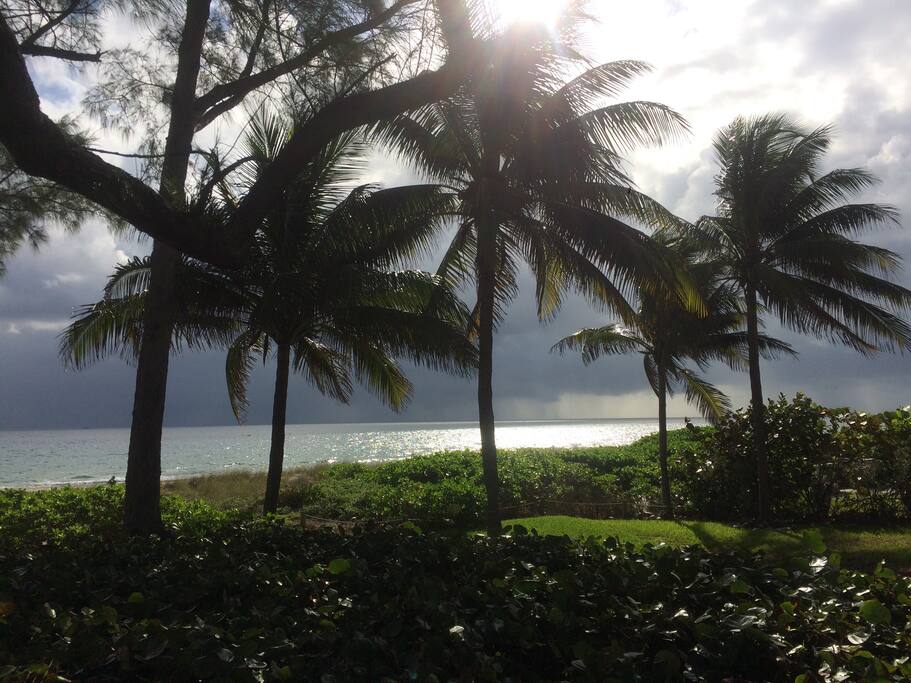 View from deck