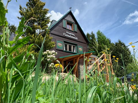 Cozy mountain Cabin for up to 8
