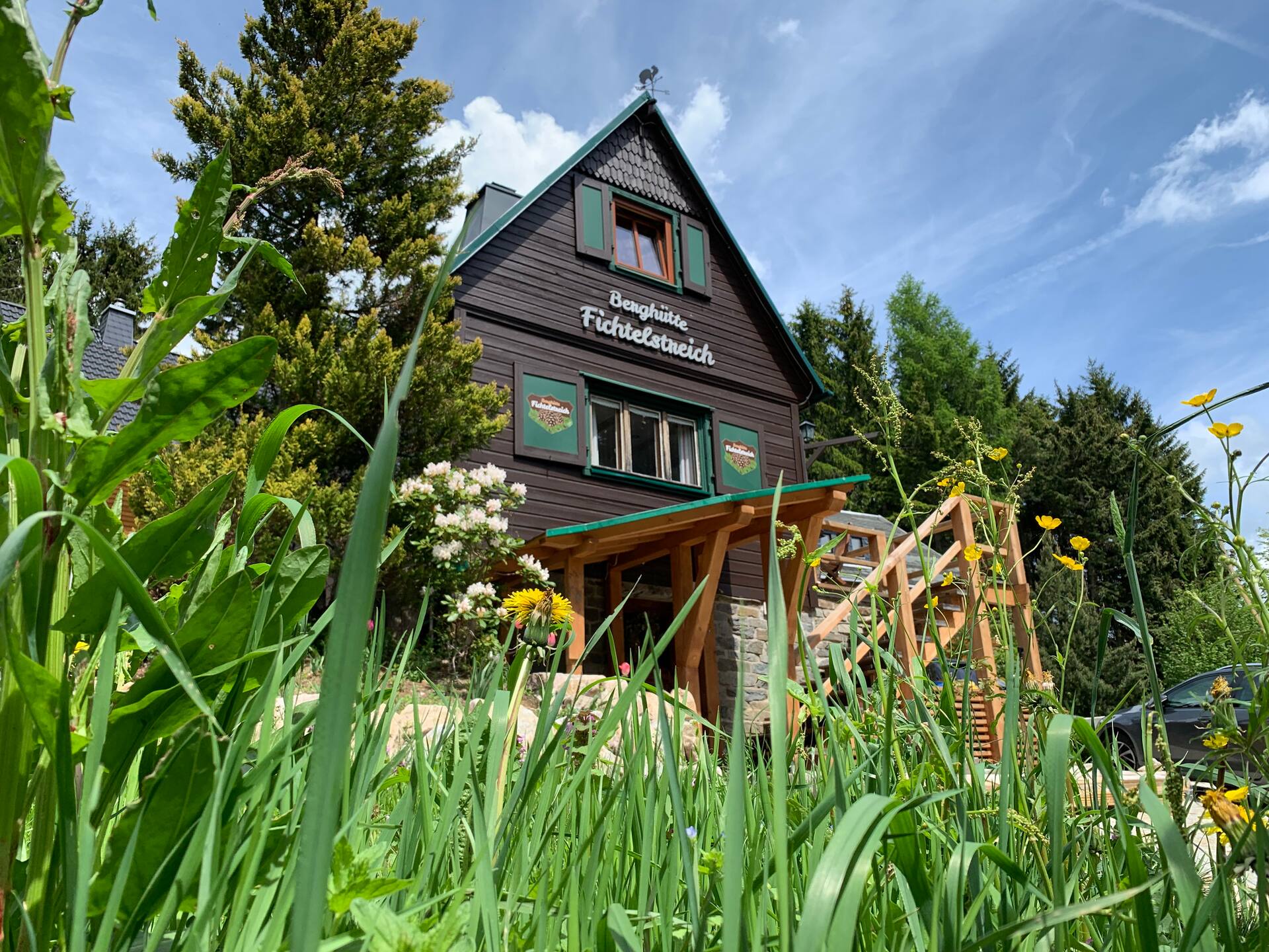 Cozy mountain Cabin for up to 8