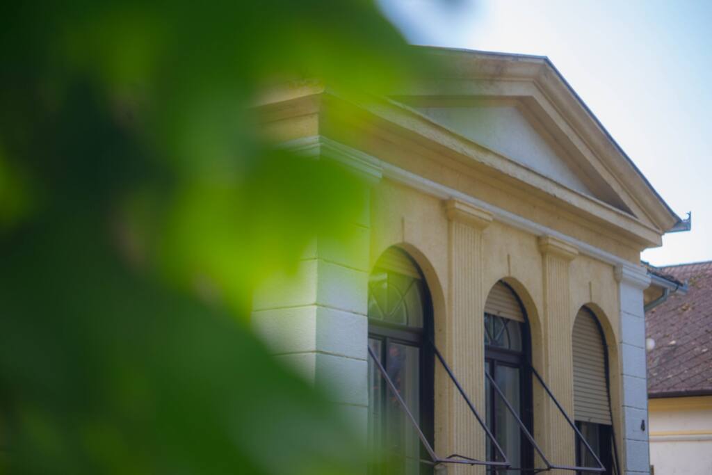 Old villa in Somogy county