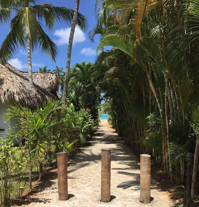 The beach access, just in front of the house, 1 minute walk to Paradise❤️