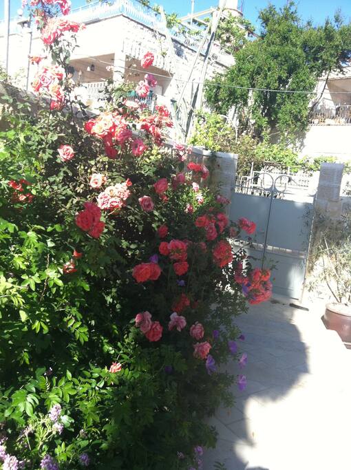 Entrance to the garden