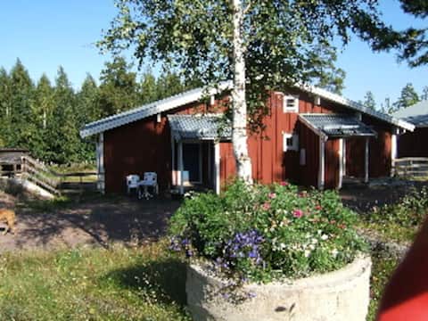 Rödluvan 8S, near Lake Siljan lake