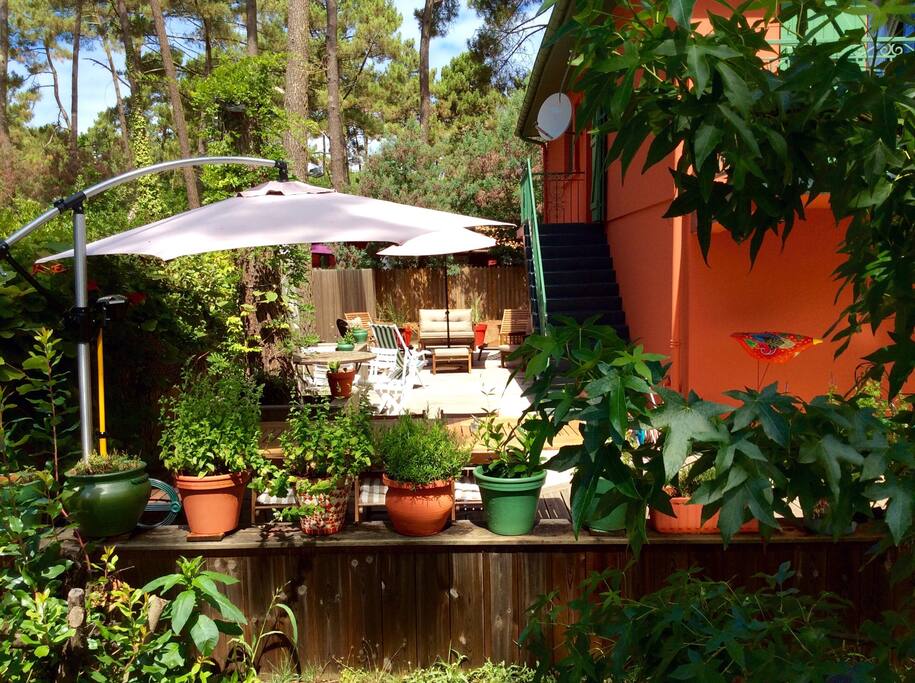 Terrasse ensoleillée