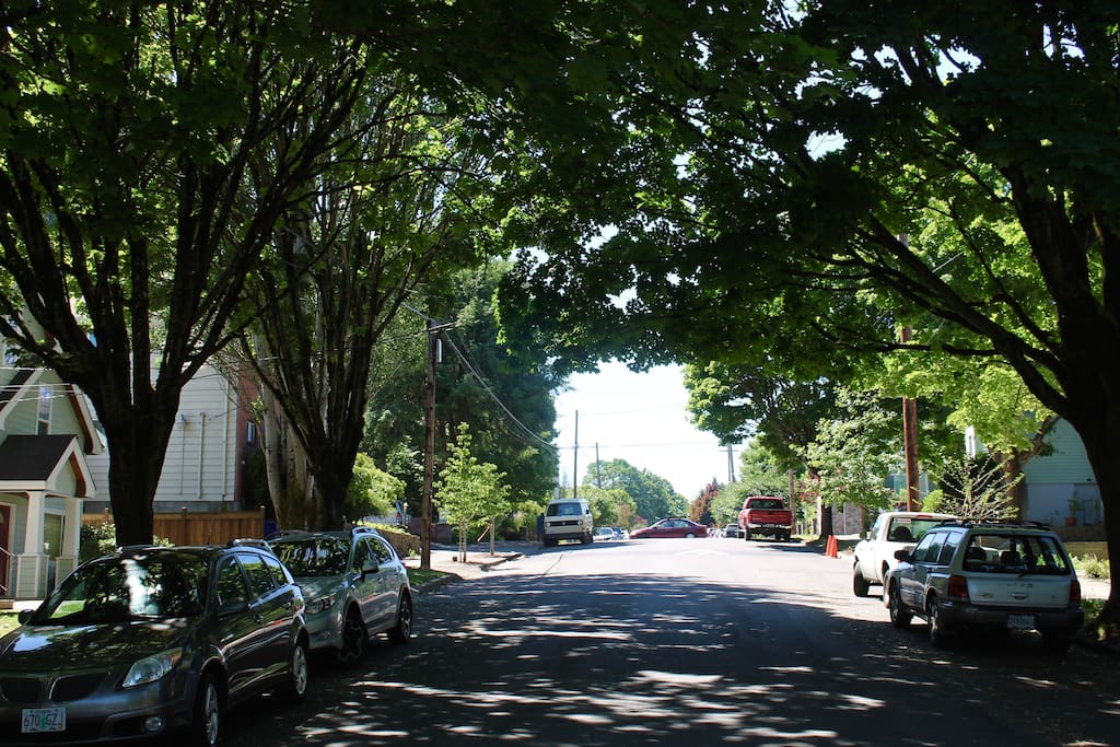 We're located on a tree-lined street typical of this old Portland neighborhood. Parking is rarely a problem.