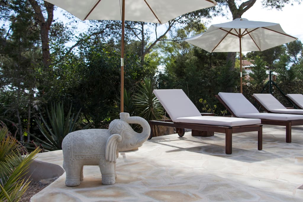 Swimming pool area