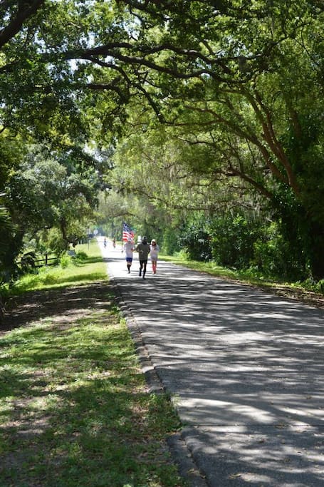 This is the famous Pinellas Trail, an entrance to which is right in the neighborhood! Walk, run, stroll, bike past lush scenery, coffee shops, bars and other fun spots.
