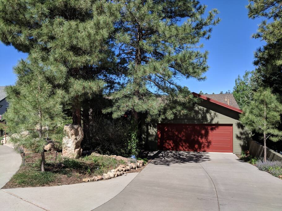 Street view of house