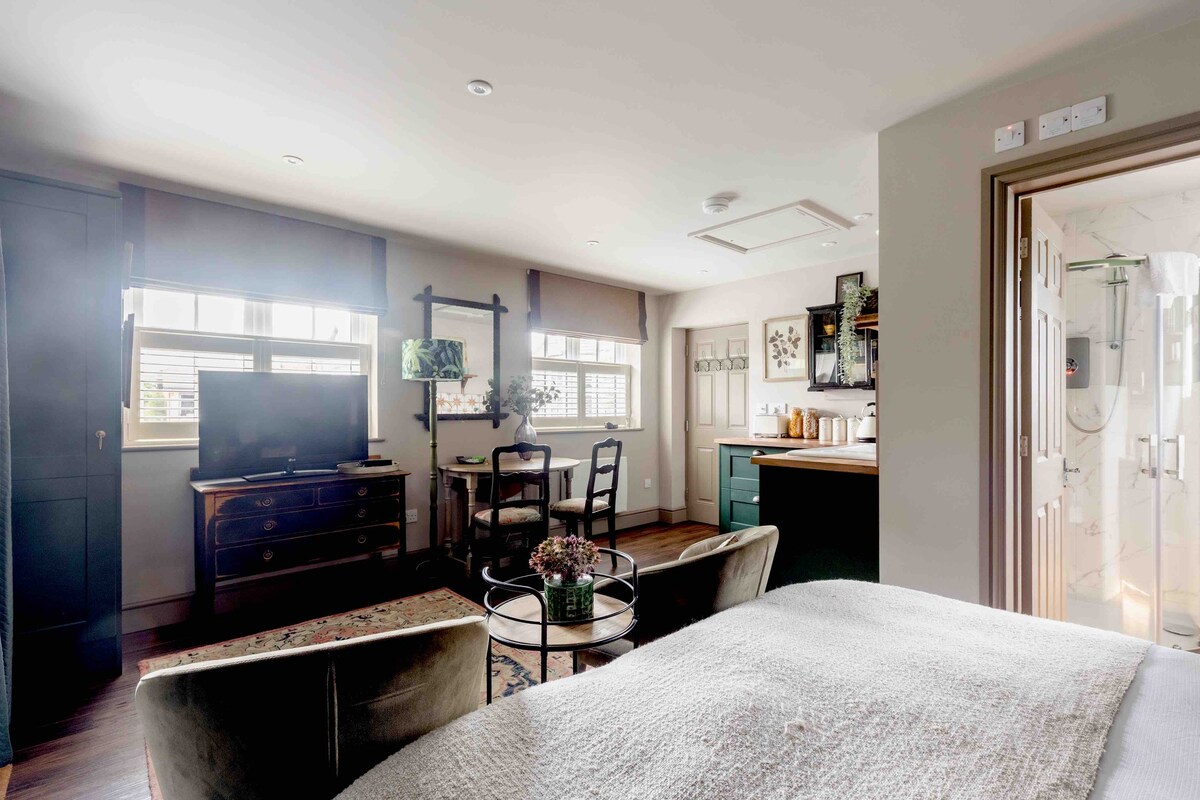The studio's interior features a spacious bed with soft bedding, a small dining table for two, and a kitchenette in the background. Natural light filters through the two windows, illuminating a comfortable seating area with a television and decorative elements.