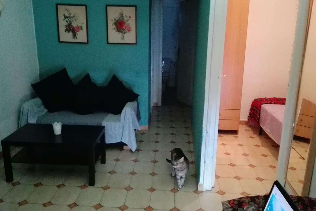Sofá pequeño y cómodo en un comedor muy amplio con escritorio