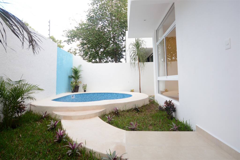 Backyard Pool / piscina del patio trasero