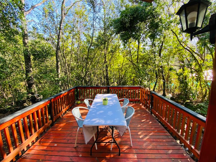 Cabin in native forest, Los Lleuques, Nevados route