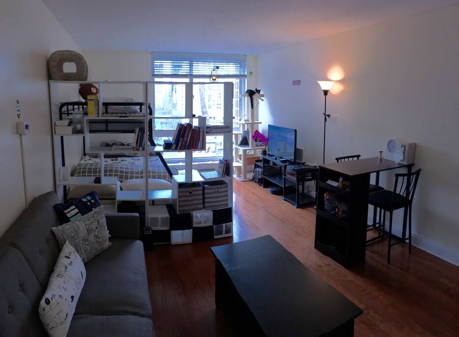 Overview of the studio