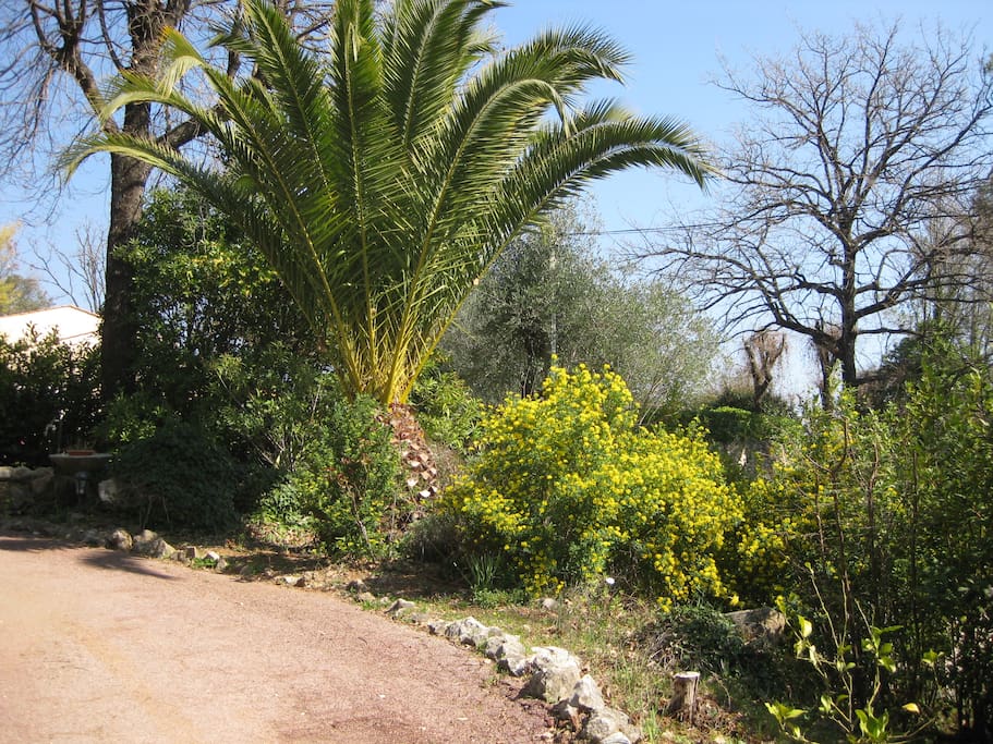 Allée vers la maison