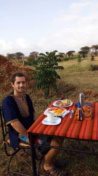 Sunny morning breakfast in a natural environment
