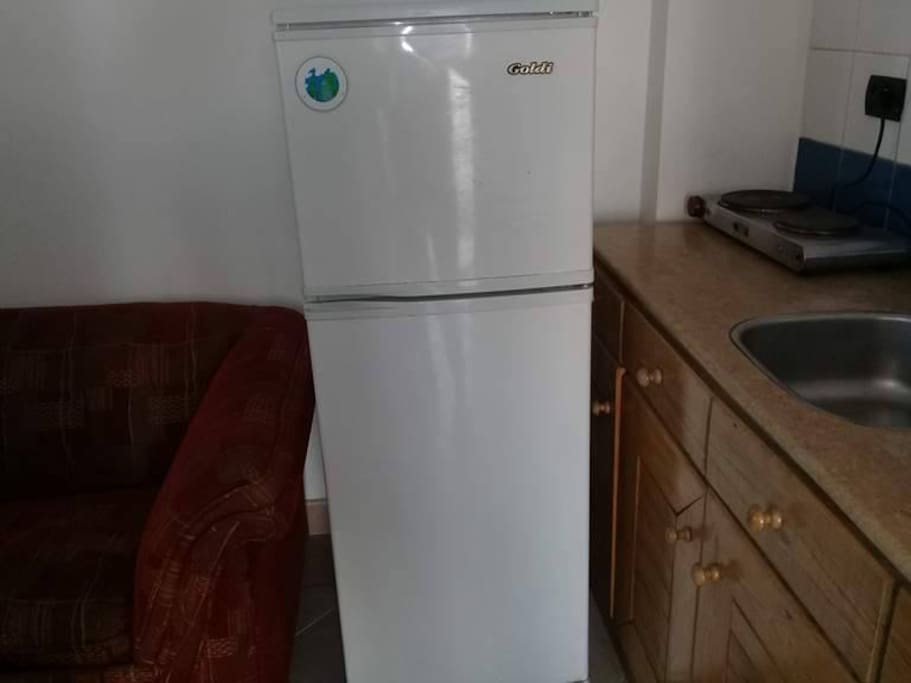 Large refrigerator