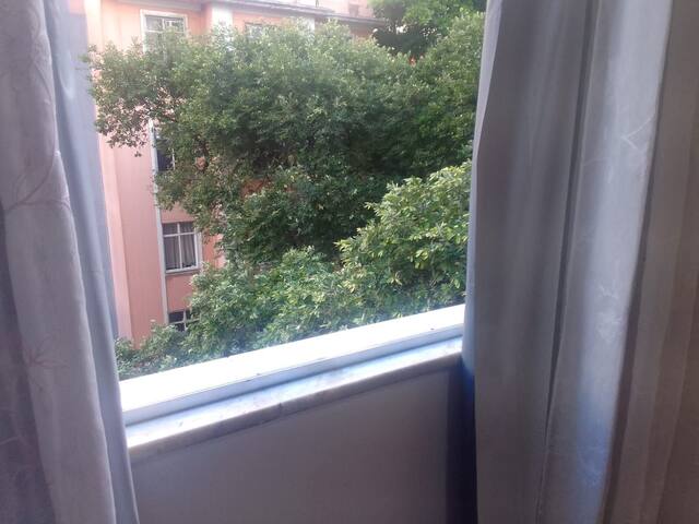 Estrela do mar gallery image 5