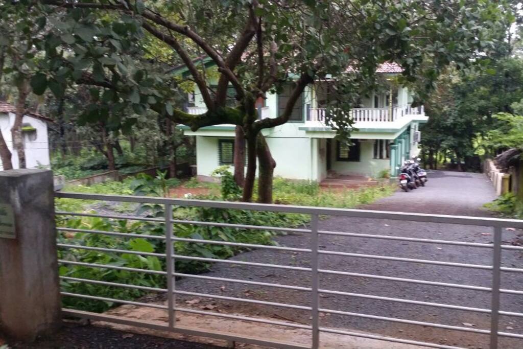 Bungalow among Lush Greenery