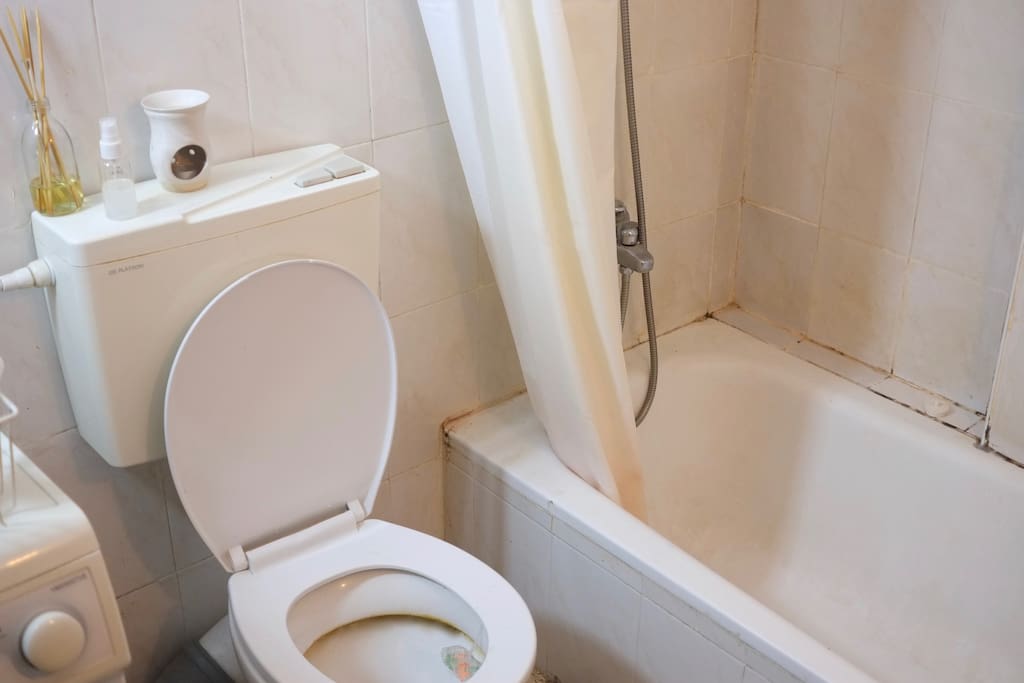 Bathroom (with laundry machine)