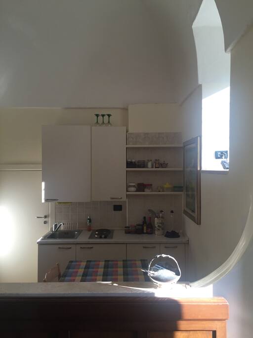 cucina a vista con piastre elettriche